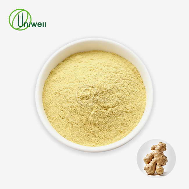 Pure Ginger Extract Powder